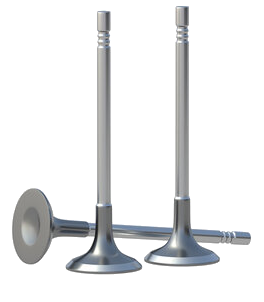 Engine Valves